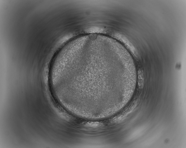 X0000103270631200809191743