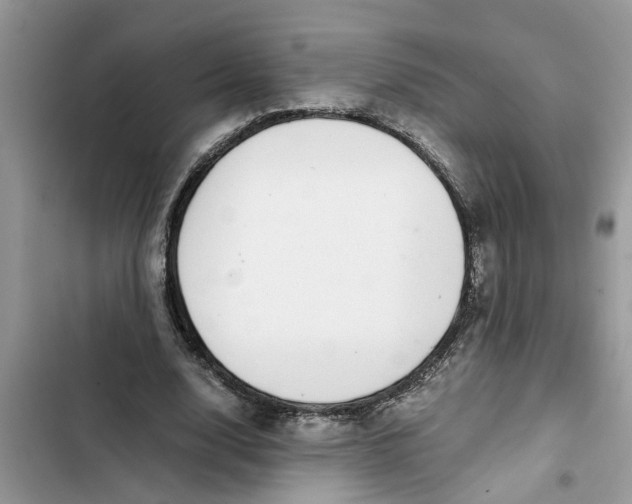 X0000103270632200809191743