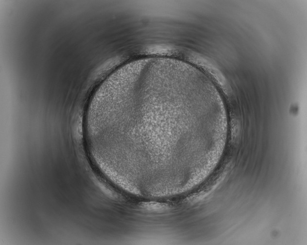 X0000103270633200809191743