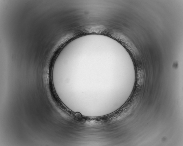 X0000103270634200809191743