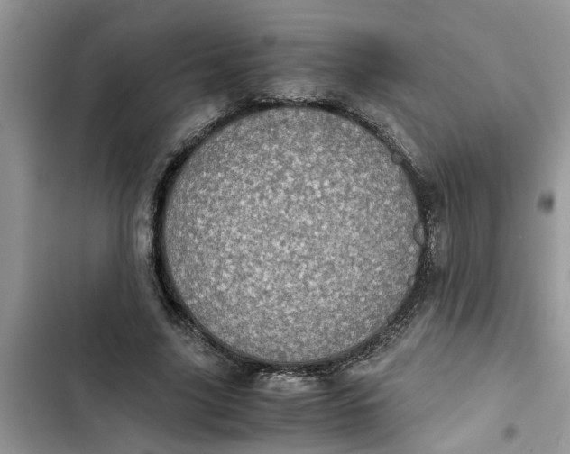 X0000103270635200809191743