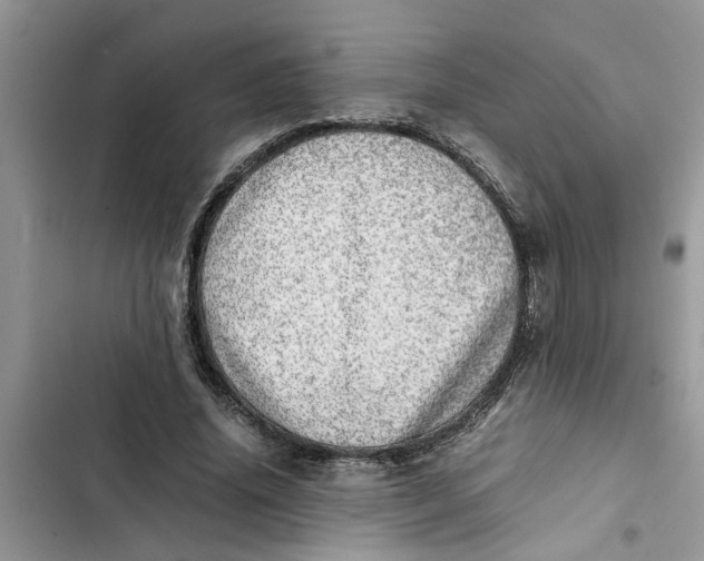 X0000103270636200809191743