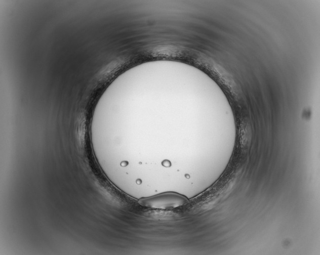 X0000103270637200809191743