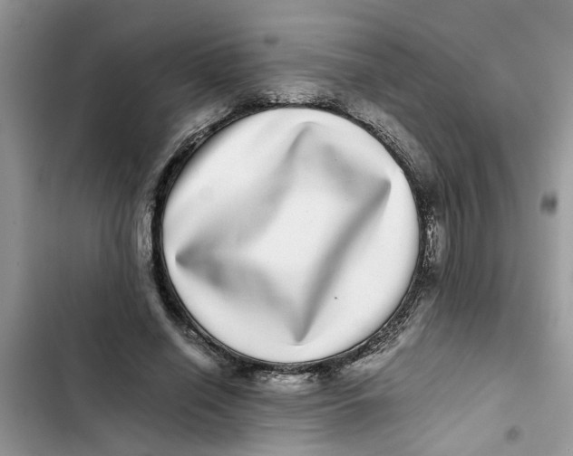 X0000103270638200809191743