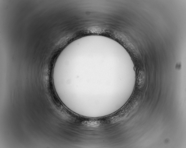 X0000103270639200809191743