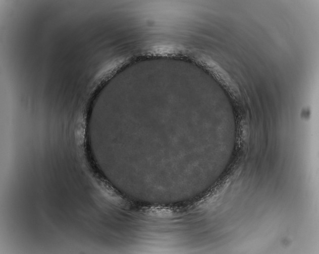 X0000103270640200809191743