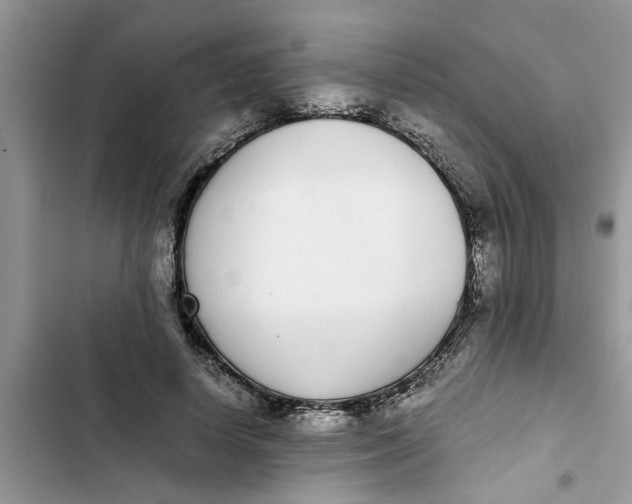 X0000103270642200809191743