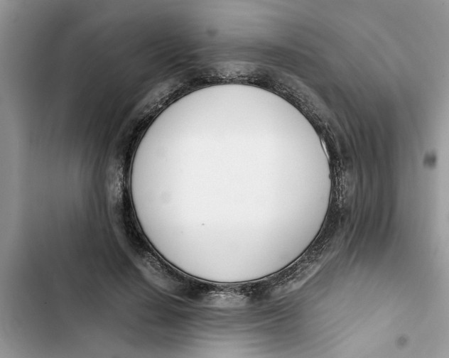 X0000103270644200809191743
