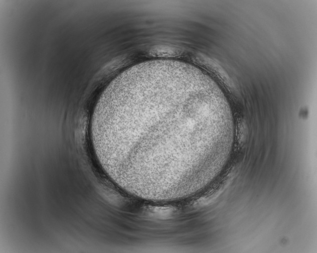 X0000103270645200809191743