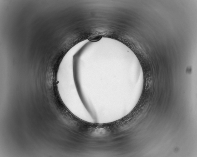 X0000103270647200809191743