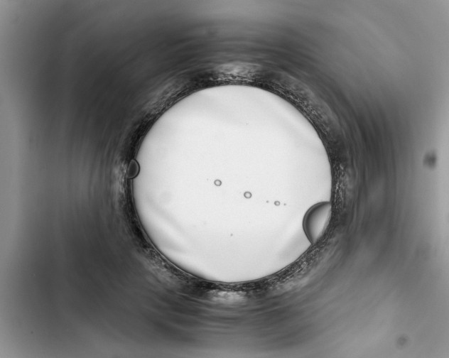 X0000103270649200809191743