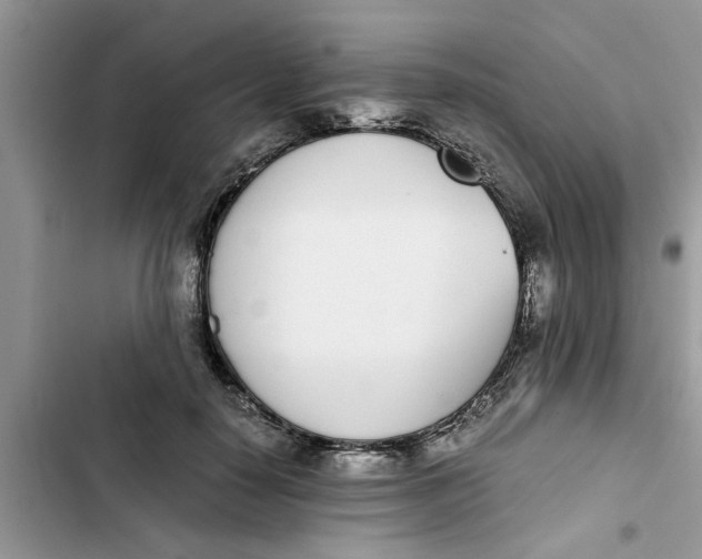 X0000103270650200809191743