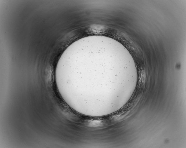 X0000103270651200809191743