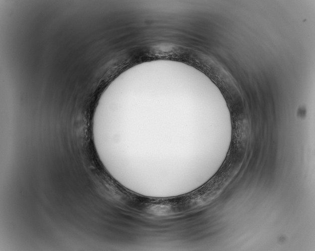 X0000103270653200809191743