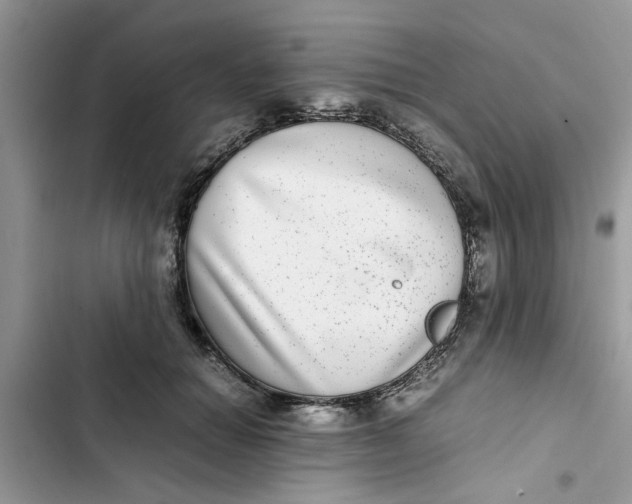 X0000103270654200809191743