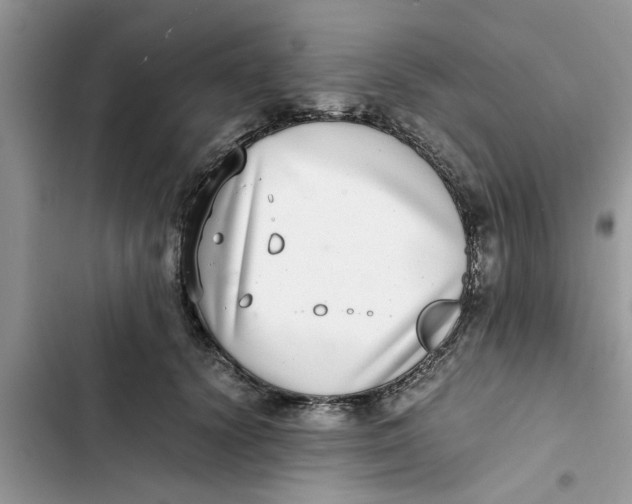X0000103270656200809191743