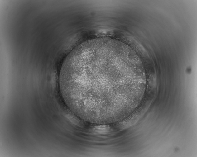 X0000103270659200809191743
