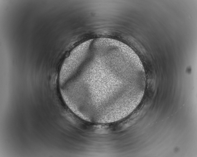 X0000103270660200809191743