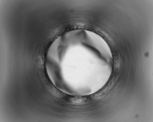 X0000103270661200809191743