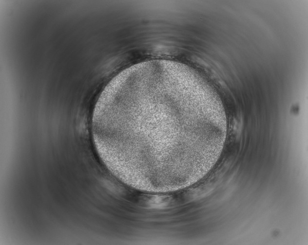 X0000103270663200809191743