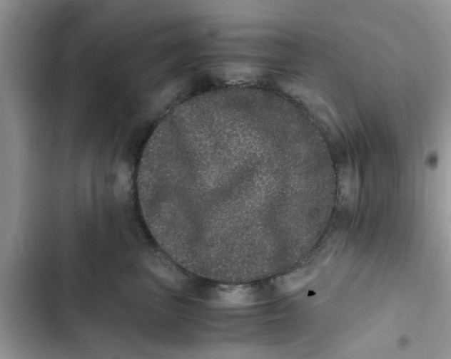 X0000103270667200809191744