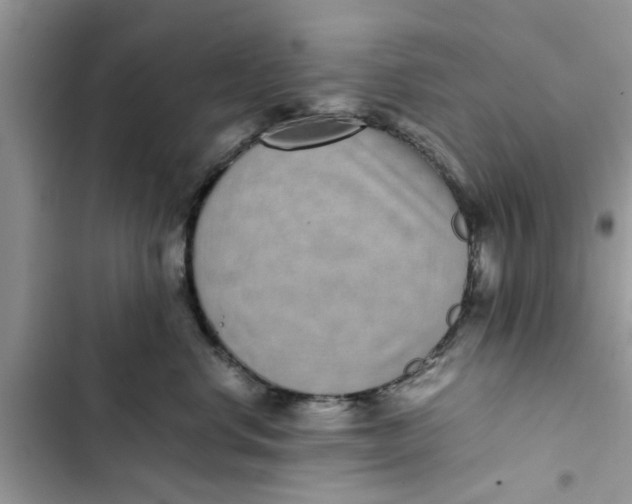 X0000103270668200809191744