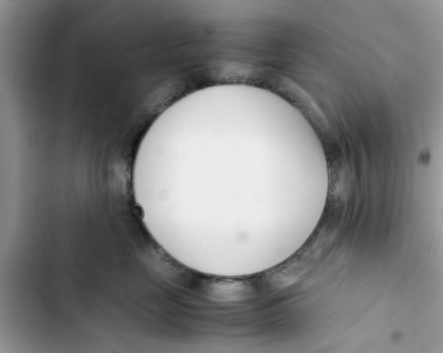X0000103270669200809191744