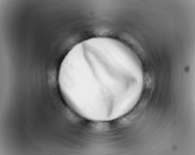 X0000103270670200809191744