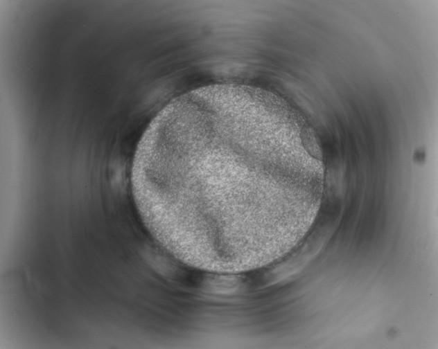 X0000103270671200809191744