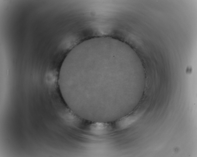 X0000103270672200809191744