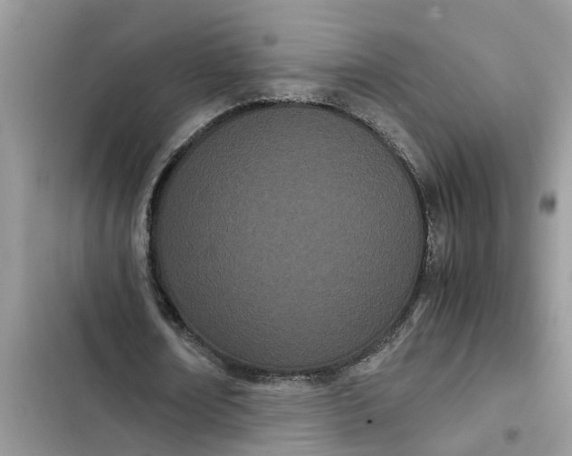 X0000103270674200809191743