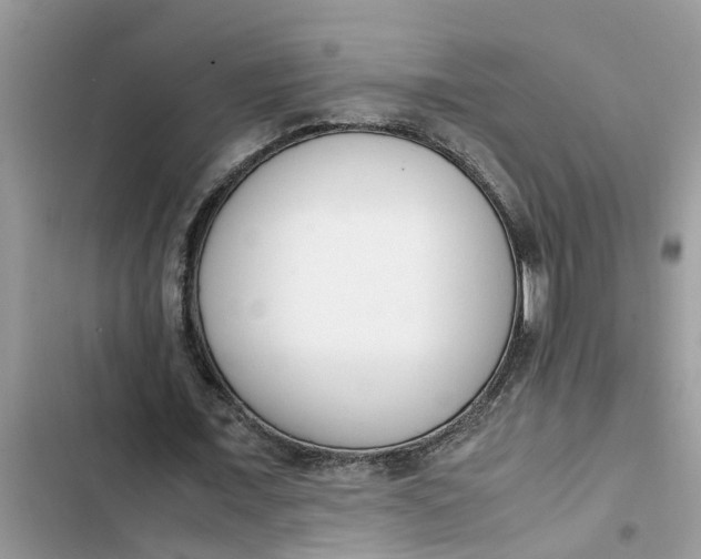 X0000103270675200809191743