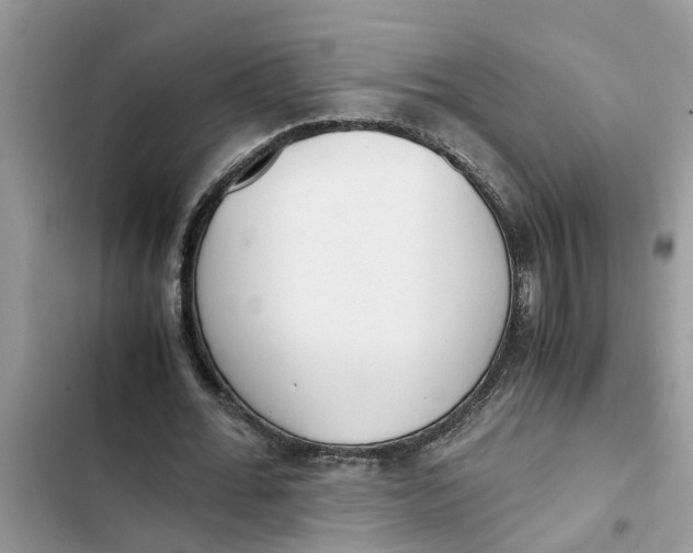 X0000103270676200809191743