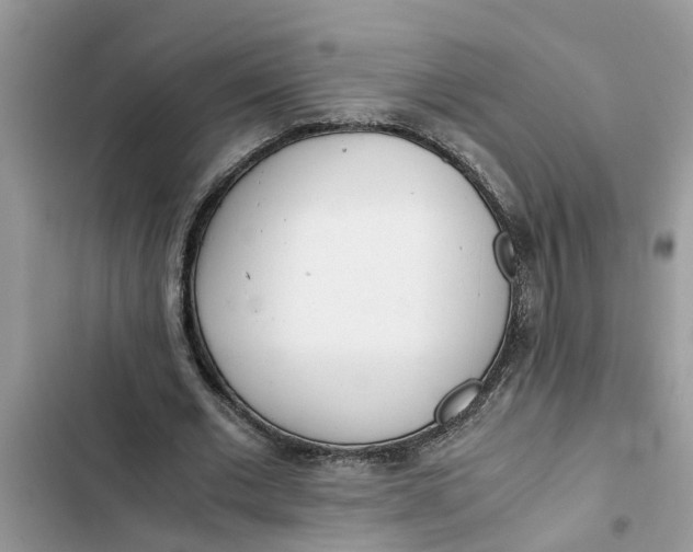 X0000103270677200809191743