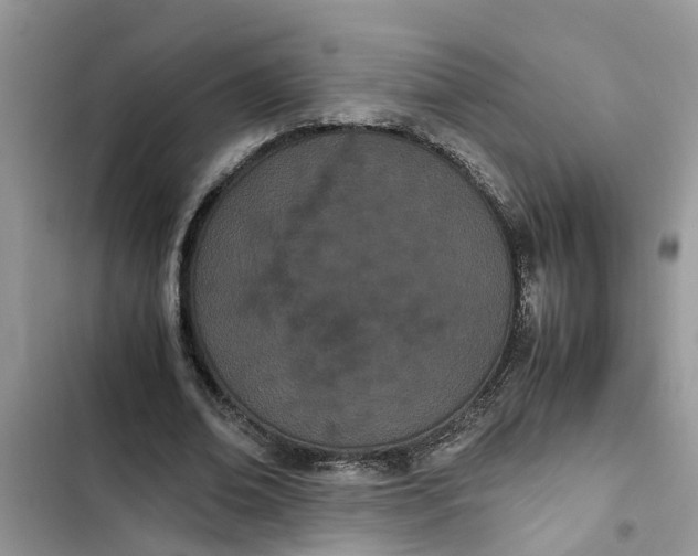 X0000103270678200809191743