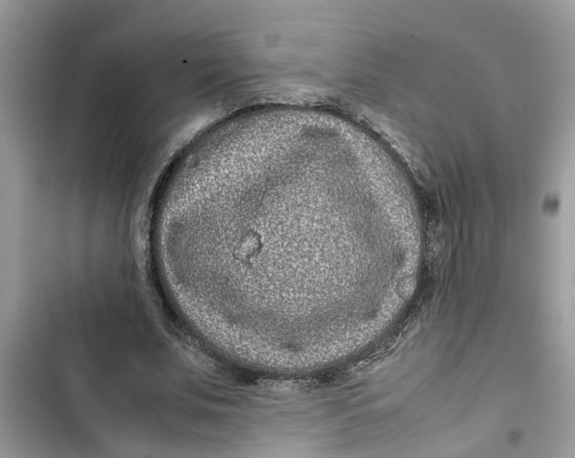 X0000103270679200809191743