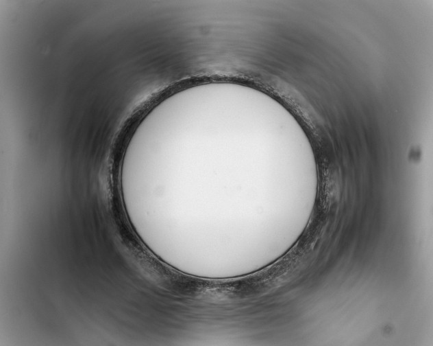 X0000103270680200809191743