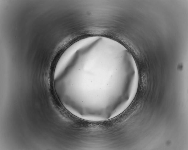 X0000103270682200809191743