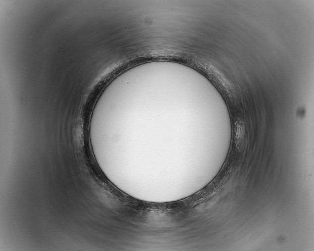 X0000103270684200809191743