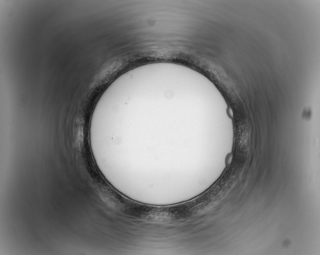 X0000103270685200809191743