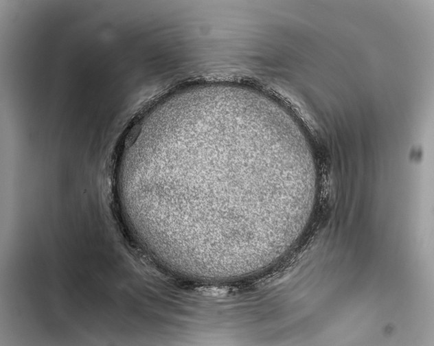 X0000103270687200809191743