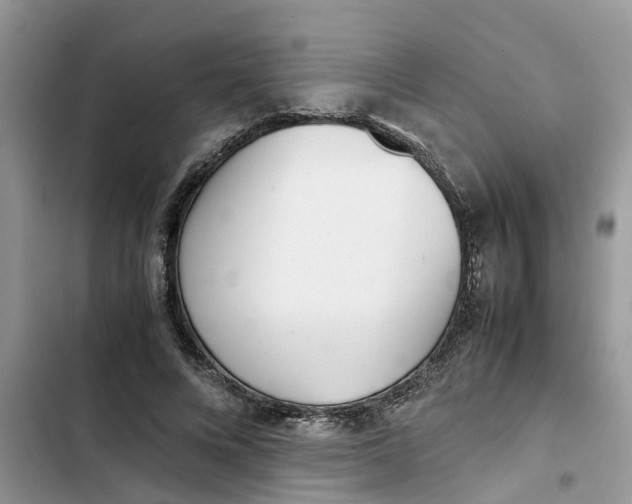 X0000103270688200809191743