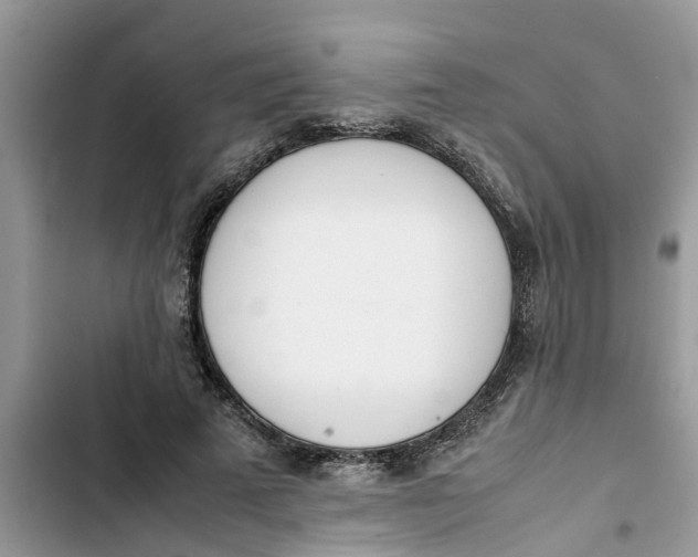 X0000103270689200809191743