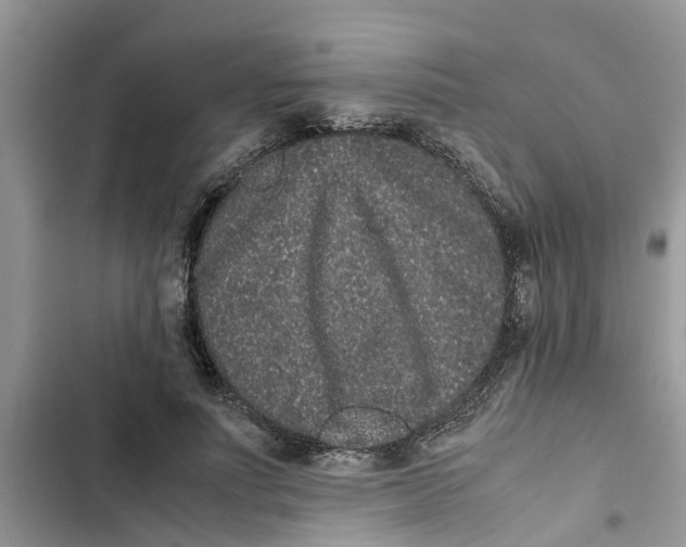 X0000103270691200809191743