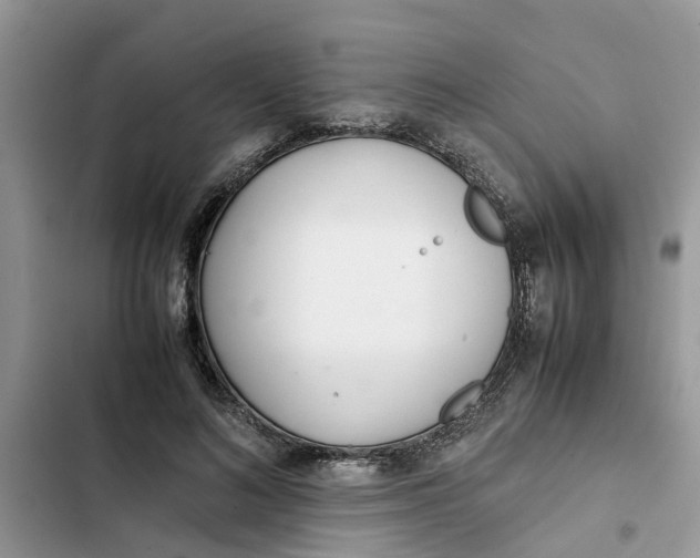 X0000103270692200809191743