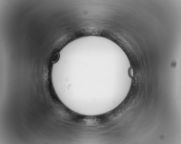 X0000103270693200809191743