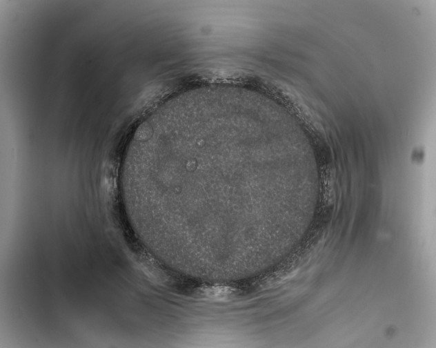X0000103270695200809191742