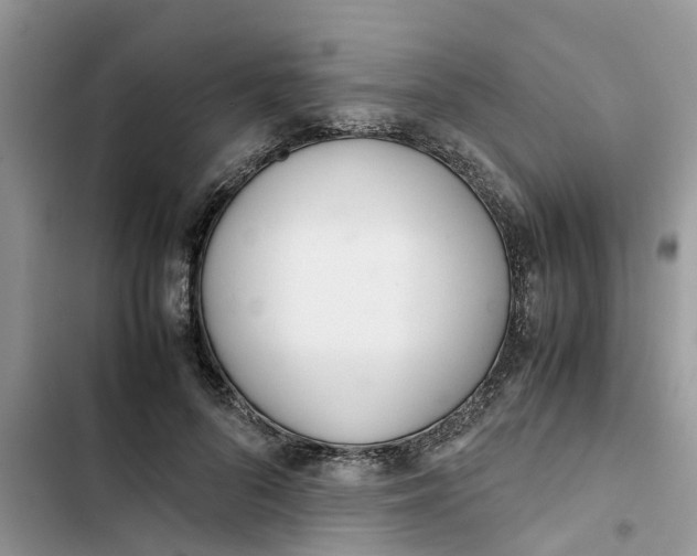 X0000103270696200809191742