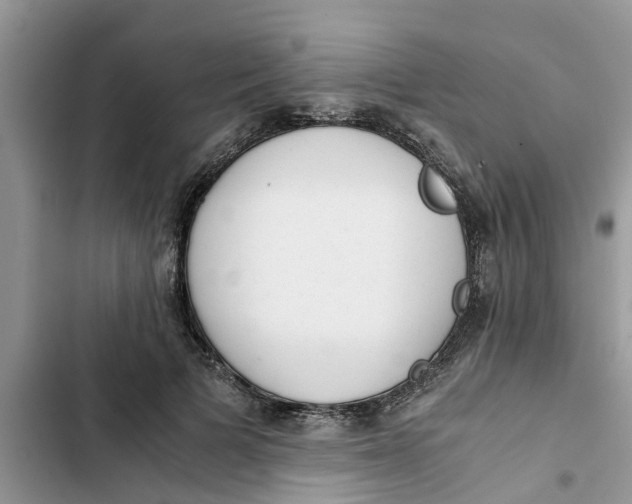 X0000103270697200809191742