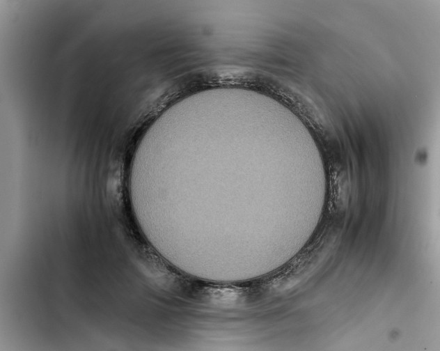 X0000103270698200809191742